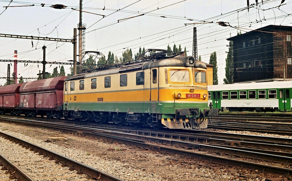 181 036-5