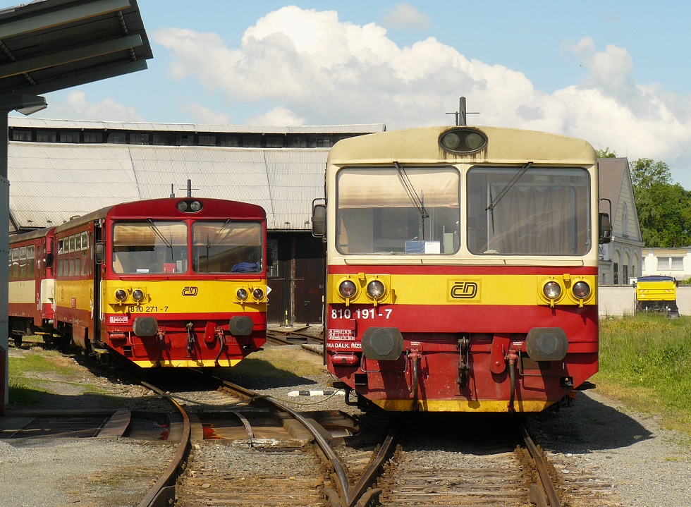 810 191-7