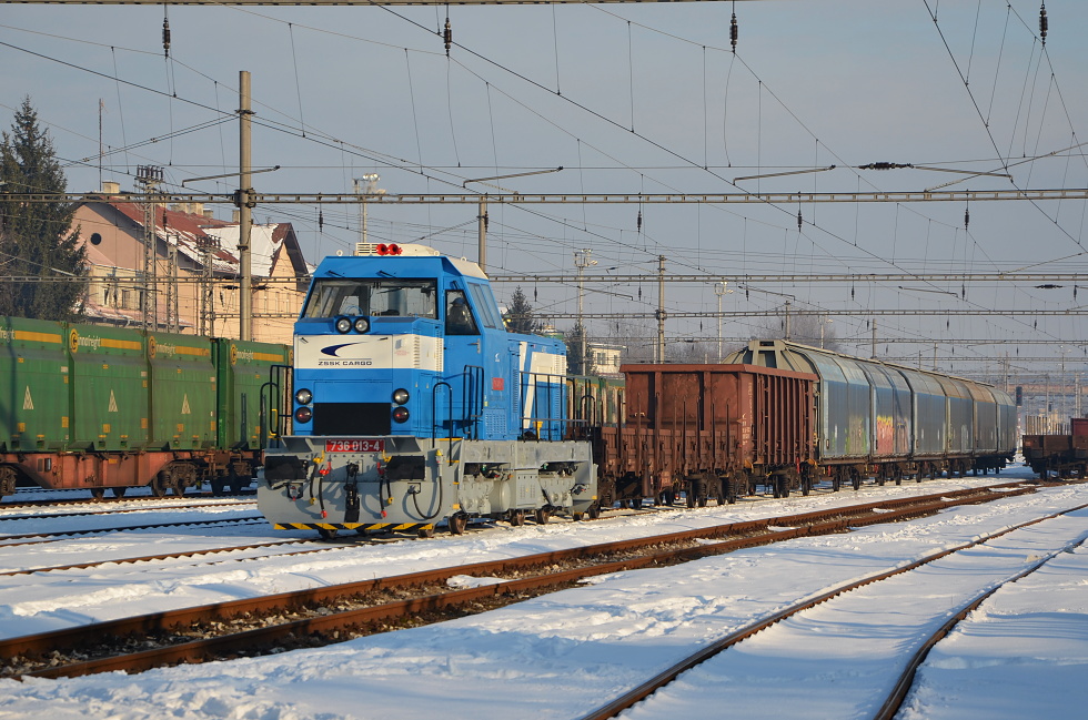 736 013-4