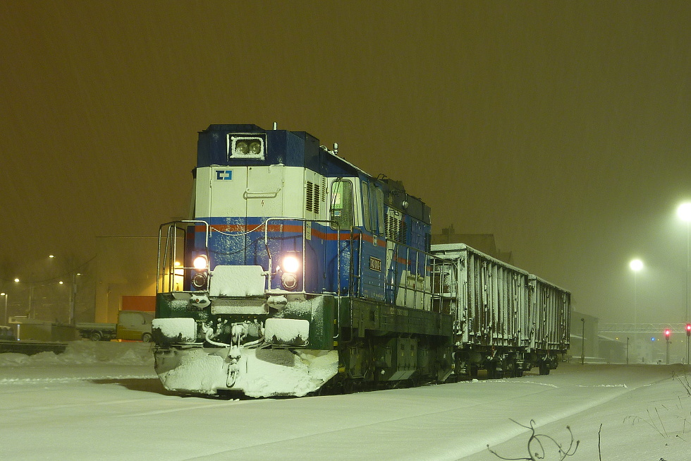 743 010-1