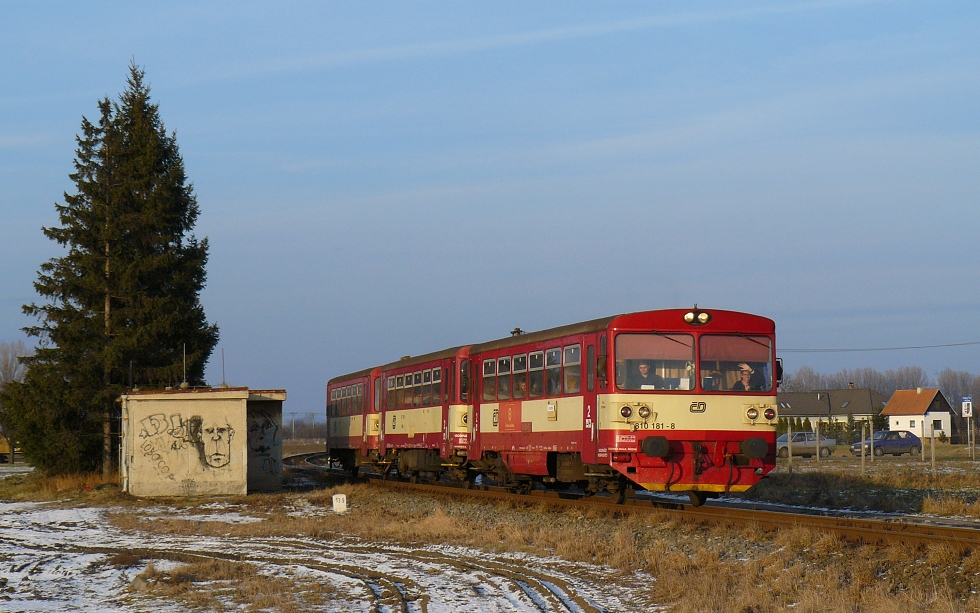 810 181-8