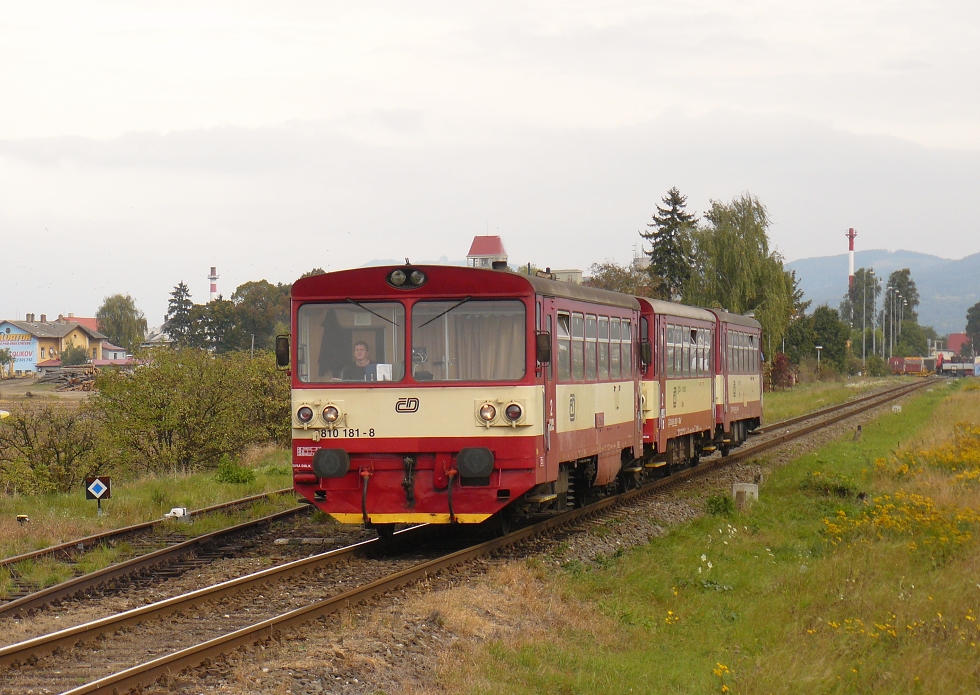 810 181-8
