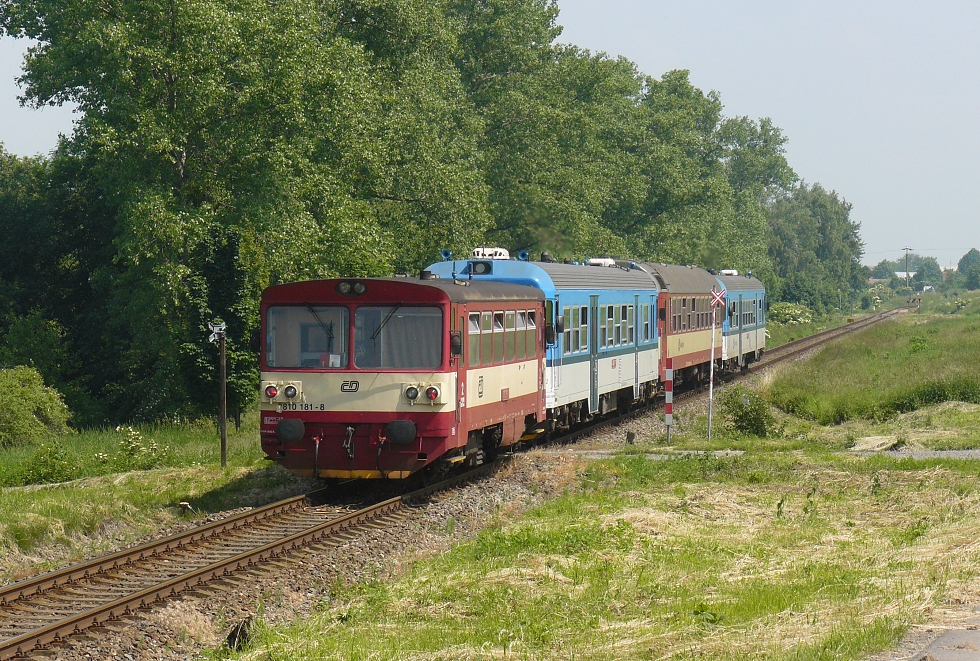 810 181-8