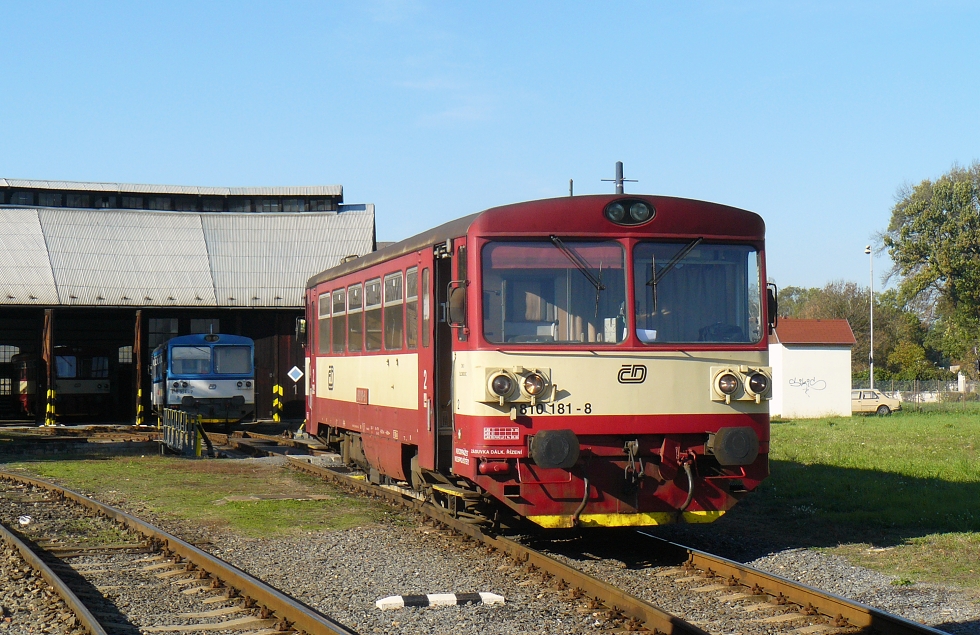810 181-8