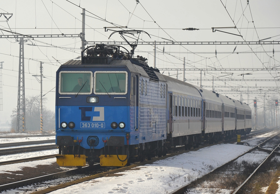 363 010-0