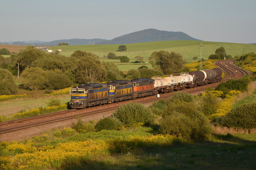 753 732-7