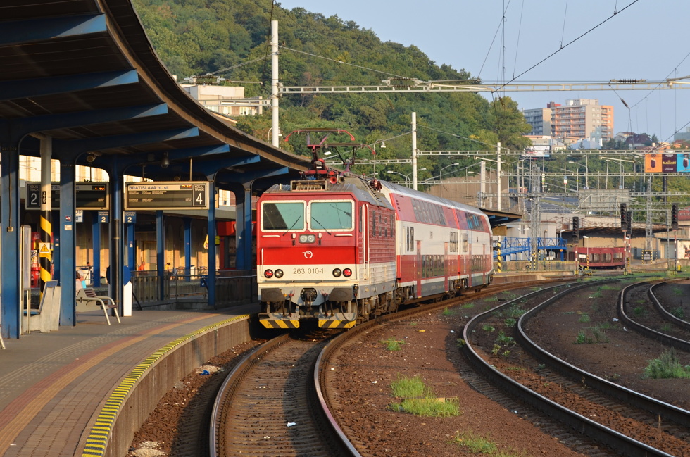 263 010-1