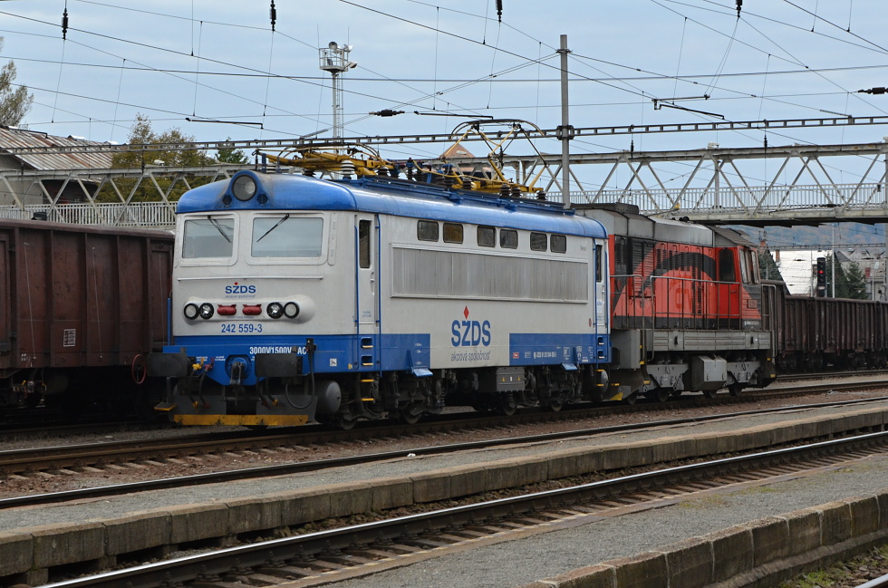 242 559-3