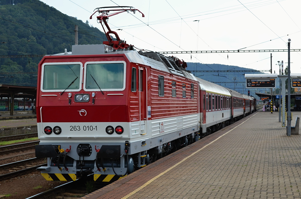 263 010-1