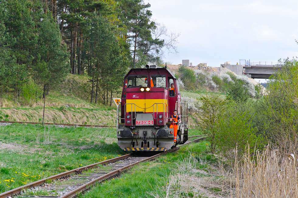 731 036-0