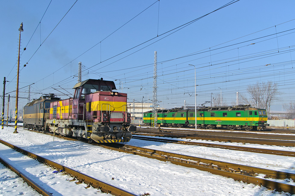 731 037-8