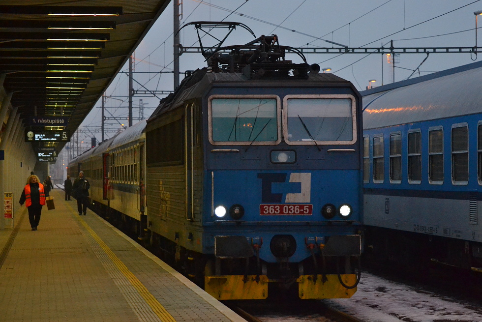 363 036-5