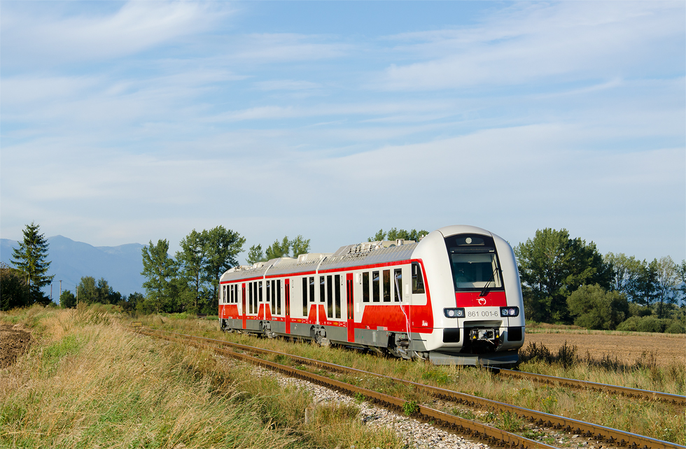 861 001-6