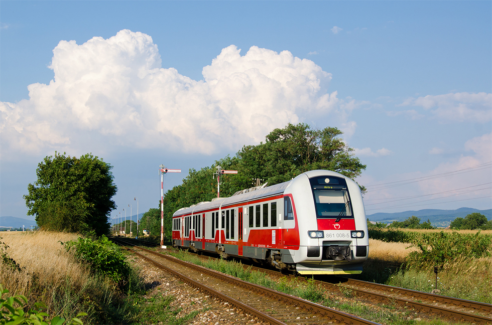 861 008-5
