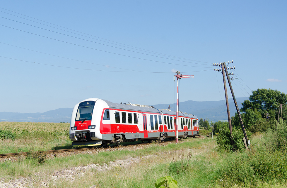 861 025-9
