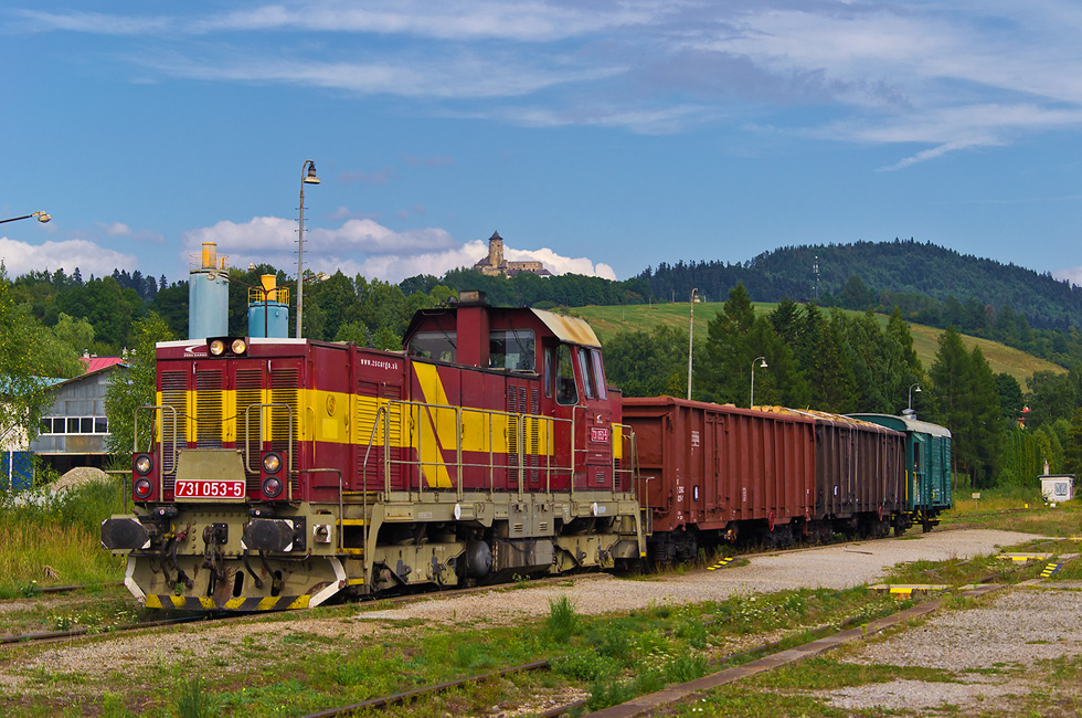731 053-5