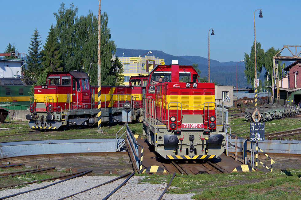 731 055-0