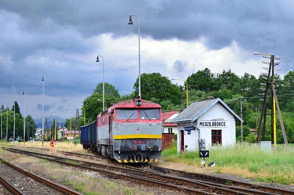 751 113-2