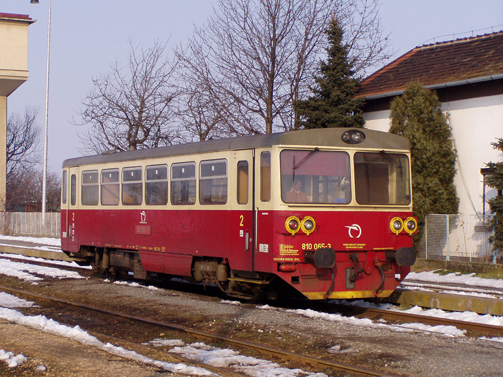 810 065-3