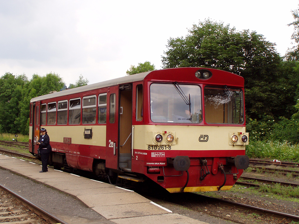 810 261-8