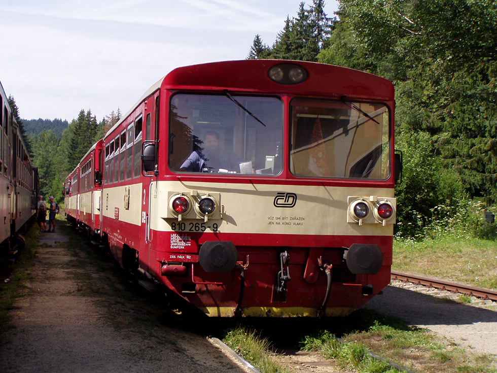 810 265-9