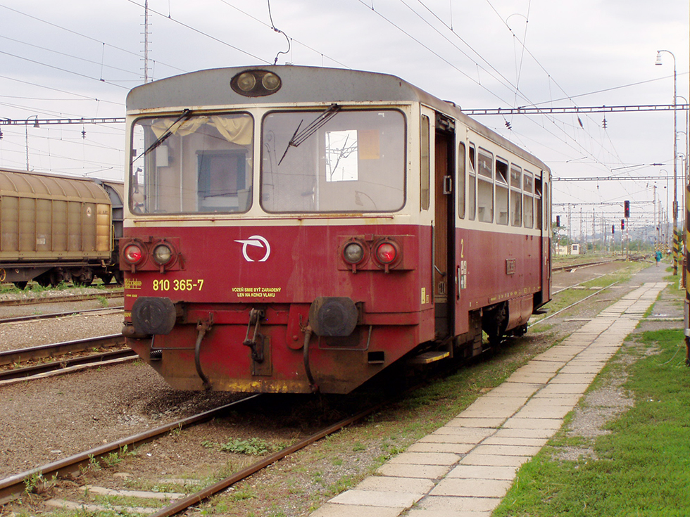 810 365-7