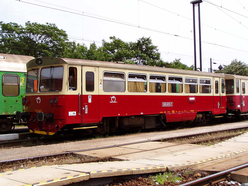 810 450-7