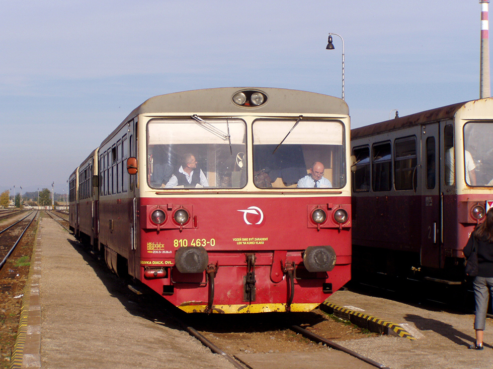810 463-0