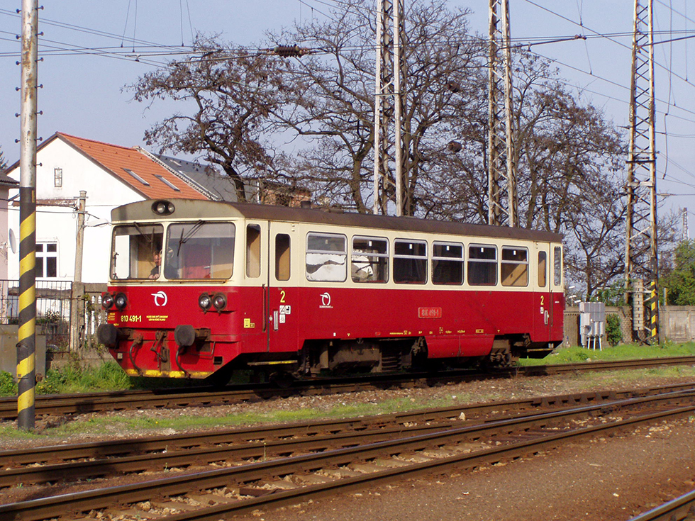 810 491-1