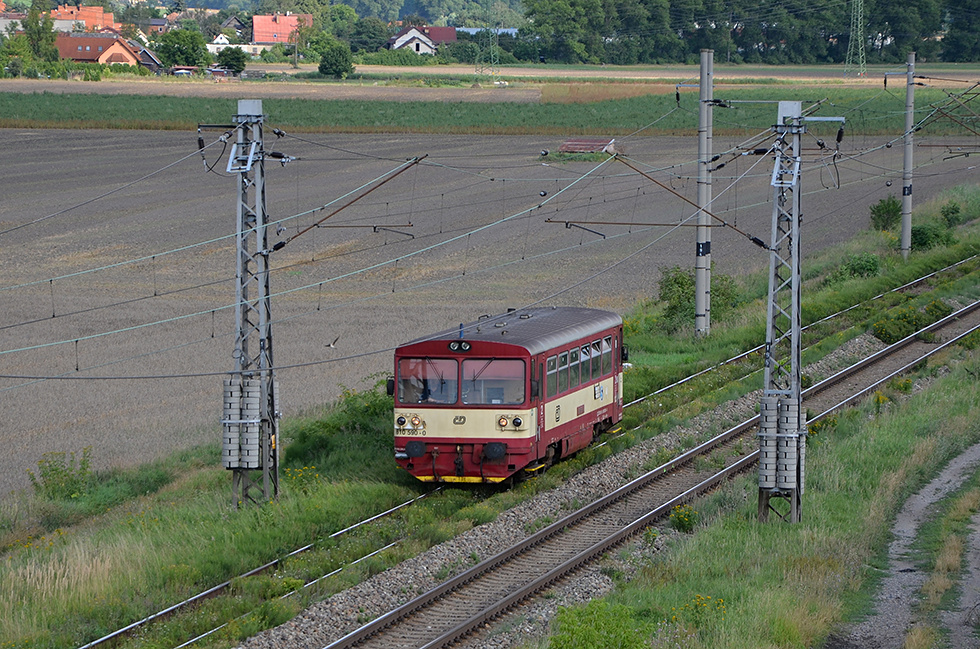 810 590-0