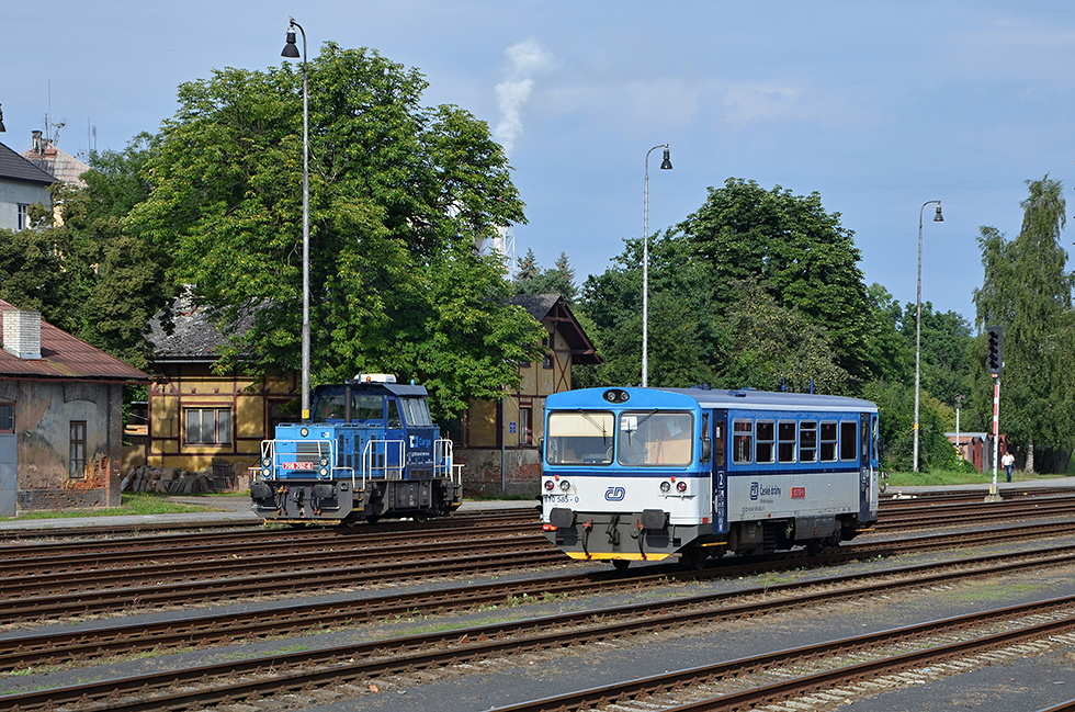 810 585-0