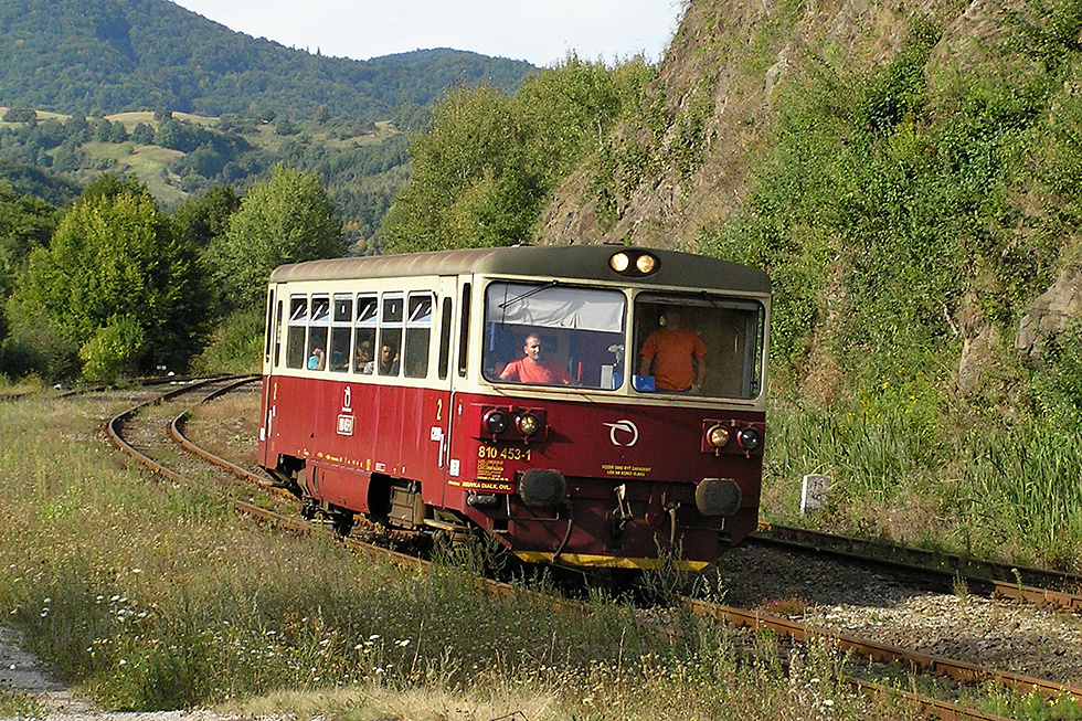 810 453-1