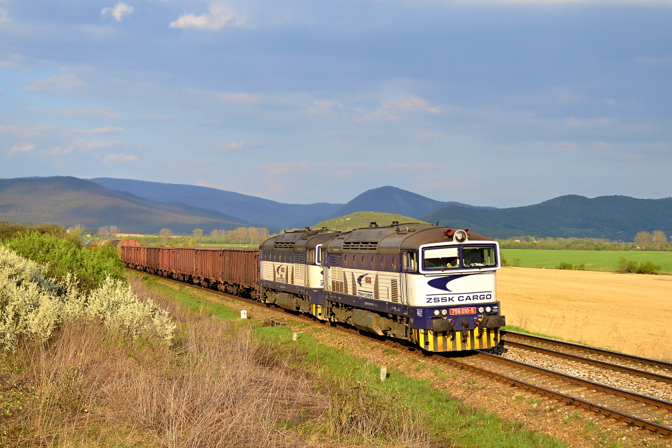 756 010-5
