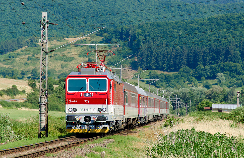 361 110-0