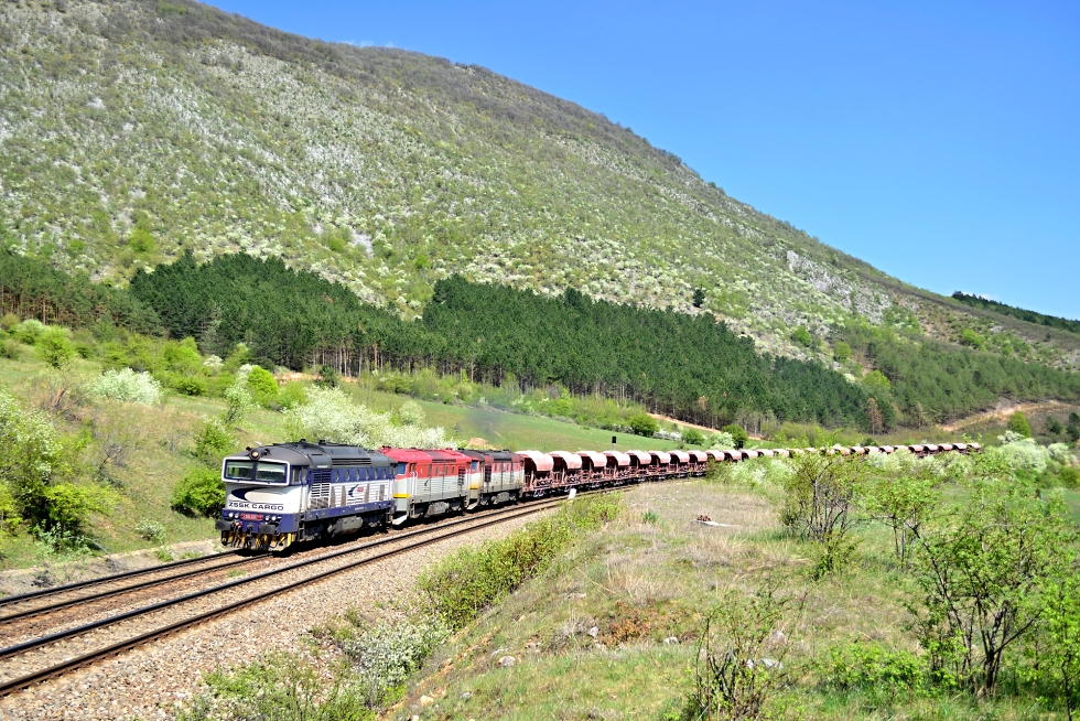 756 007-1