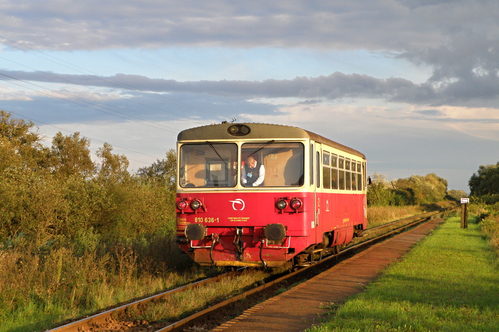 810 636-1