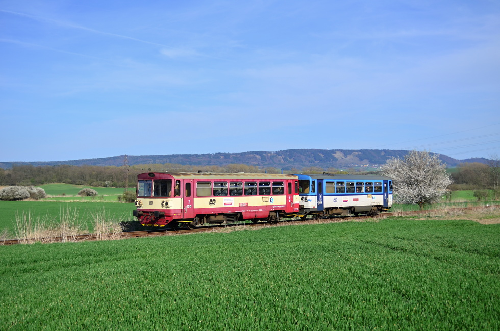 810 654-4