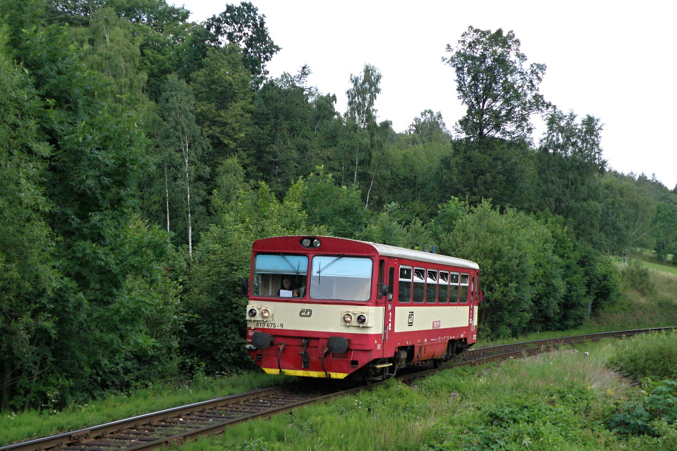 810 675-9