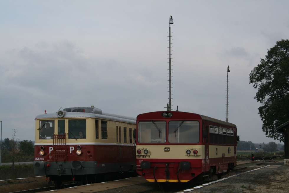 810 185-9