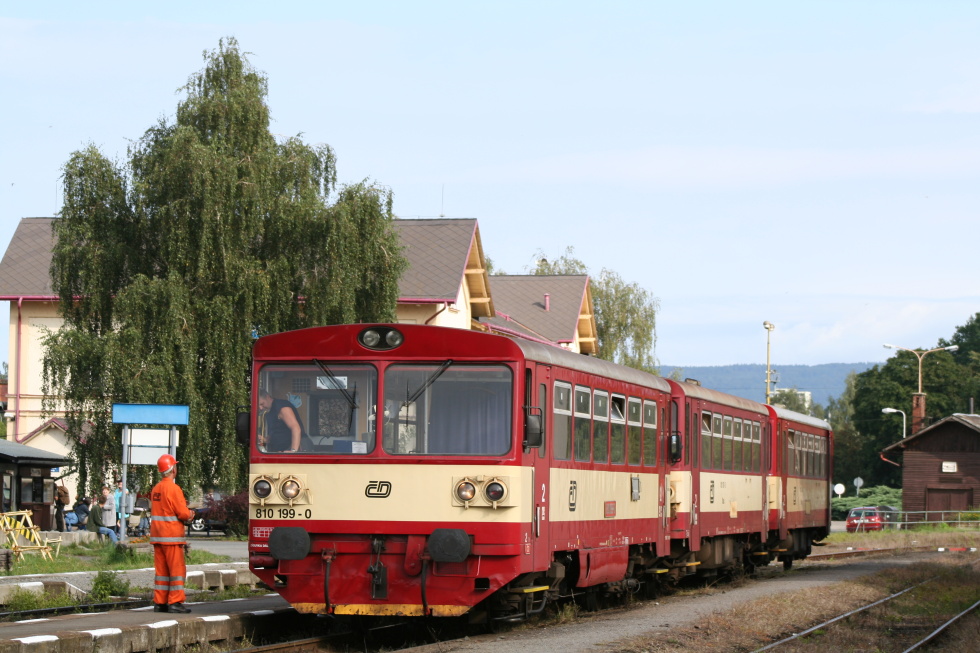 810 199-0