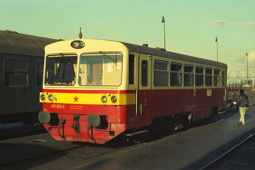810 665-0