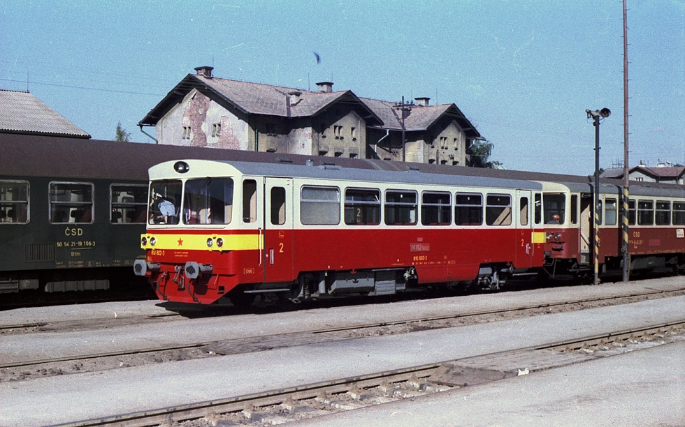 810 602-3