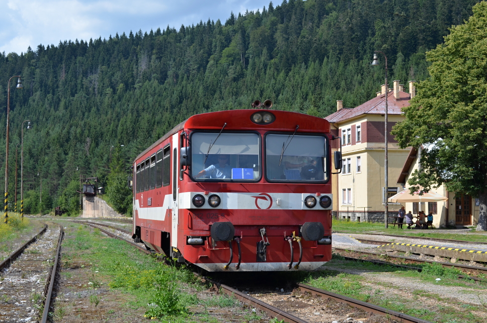 812 025-9