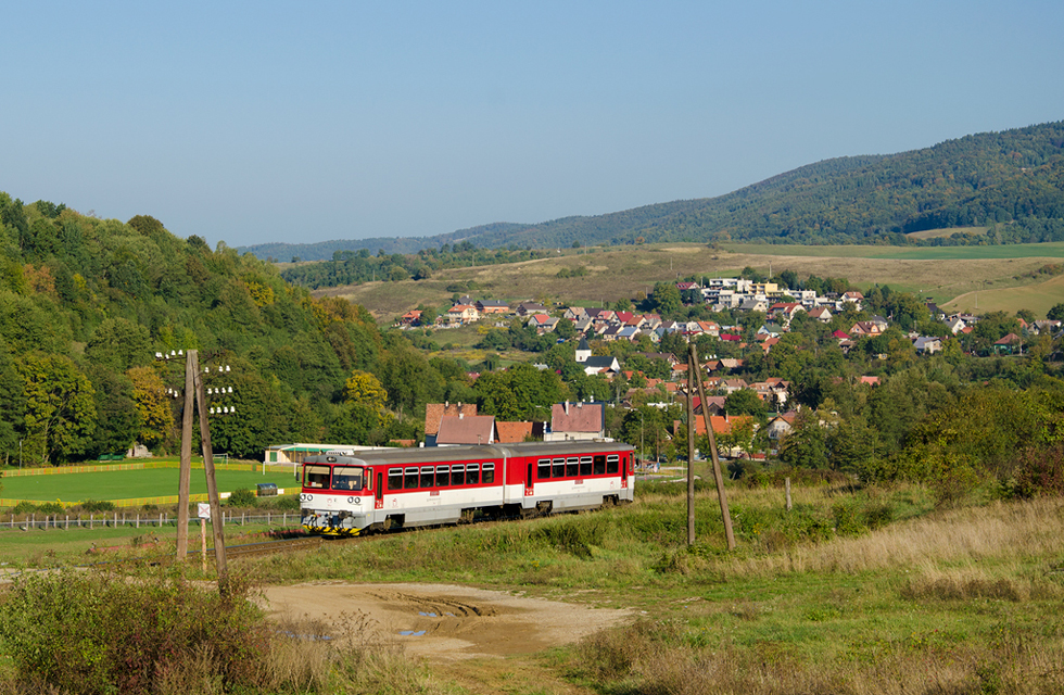 813 007-2