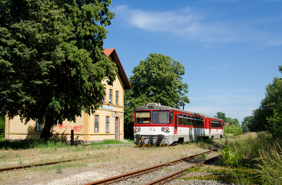 813 011-8