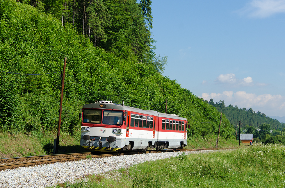 813 017-5