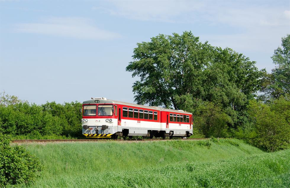 813 037-3