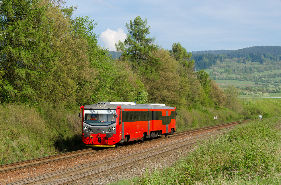 813 110-8