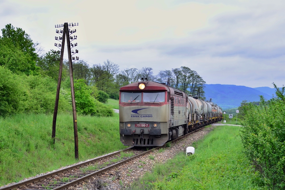 751 196-7