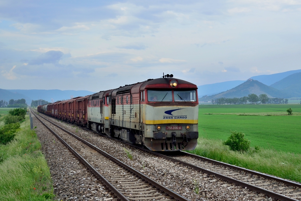 751 206-4